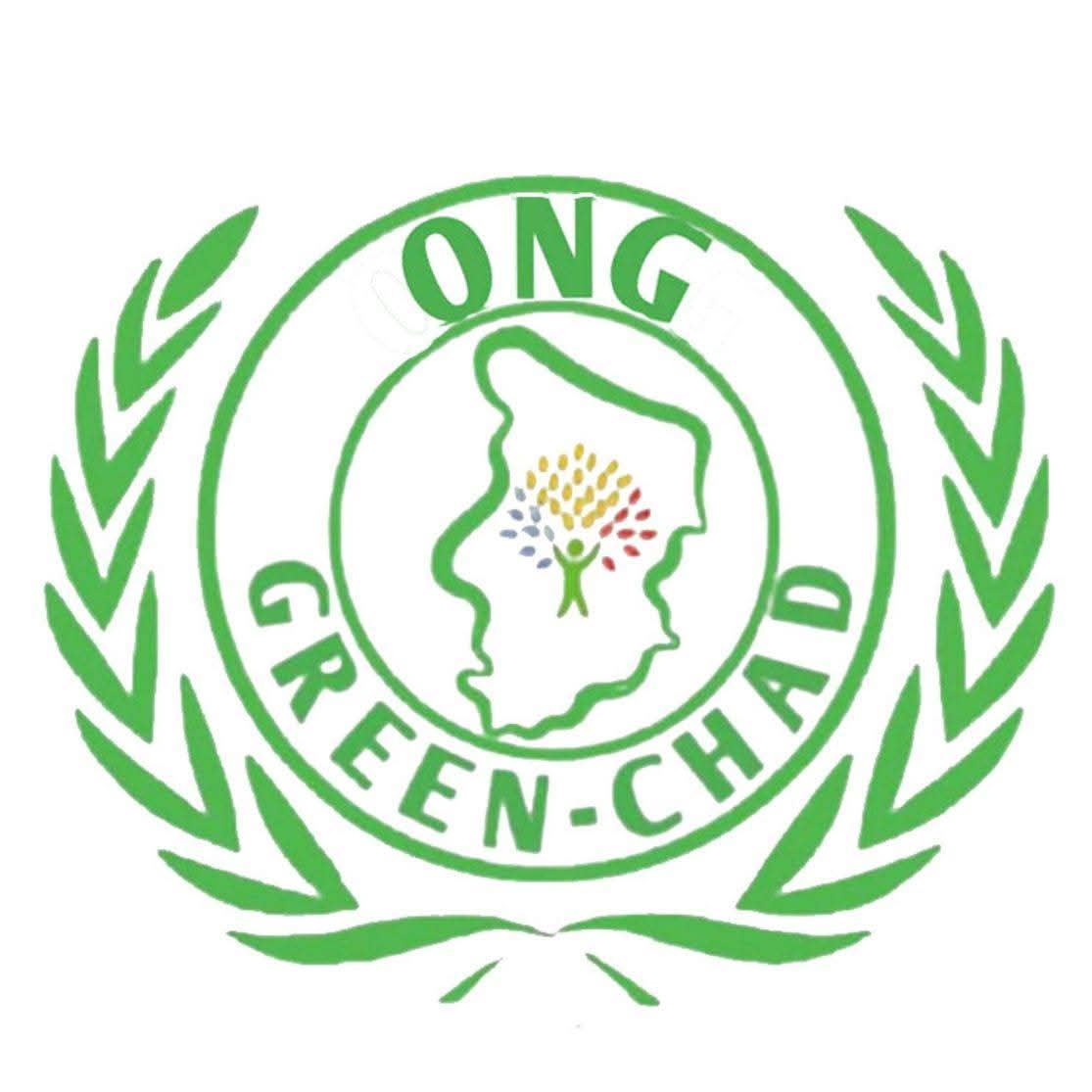 L'ONG GREEN-CHAD assainit les locaux de la DIRSAFI